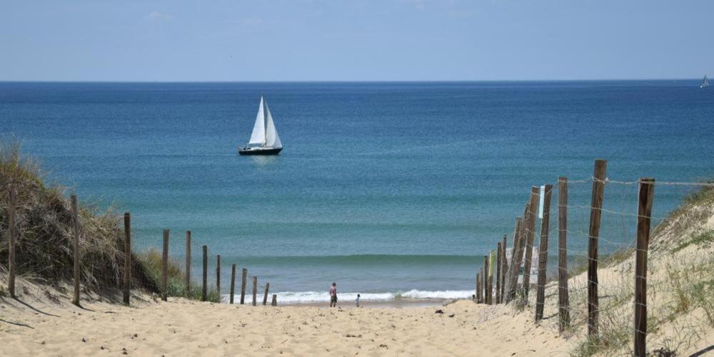 Maison Bassin D'Arcachon 8 Personnes, Spa, Proche Piste Cyclable Le Teich Ngoại thất bức ảnh