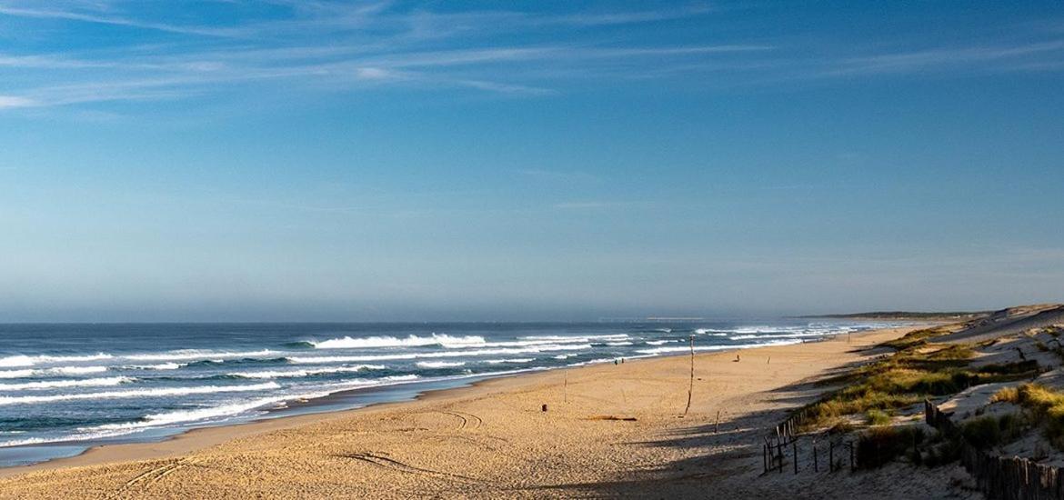 Maison Bassin D'Arcachon 8 Personnes, Spa, Proche Piste Cyclable Le Teich Ngoại thất bức ảnh